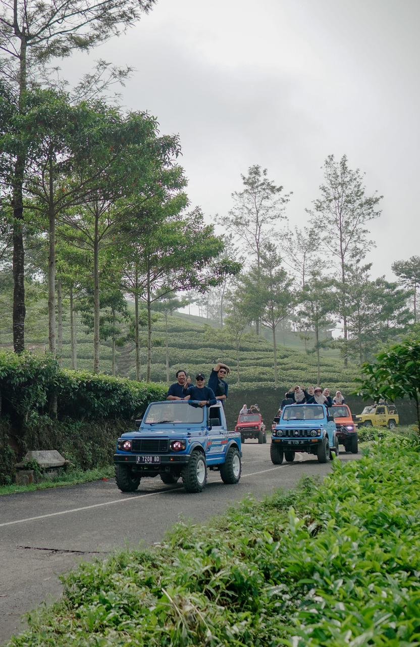 Jeep Dieng Musim Hujan: Aman Tidak? Tips & Jadwal Wisata Terbaik