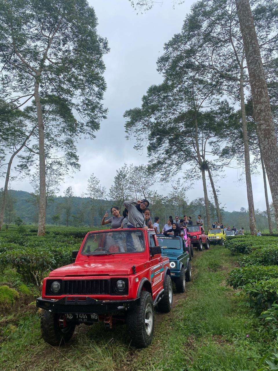Sewa Jeep Dieng untuk Gathering & Perpisahan: Paket Rombongan & Tips